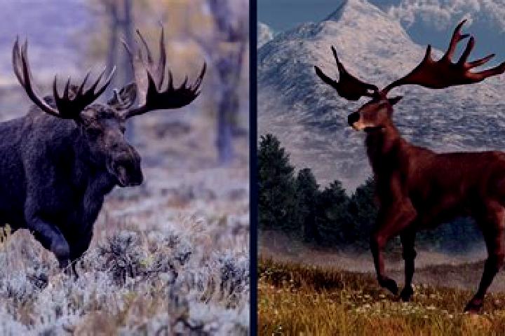 Pirots 3 vs Pirots 4: Comparing ELK s Avian Slot Heavyweights